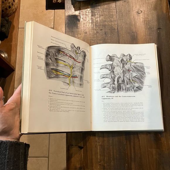 Grant's Atlas of Anatomy - 6th Edition - Vintage 1972 Illustrated Medical Book - Picture 8 of 16
